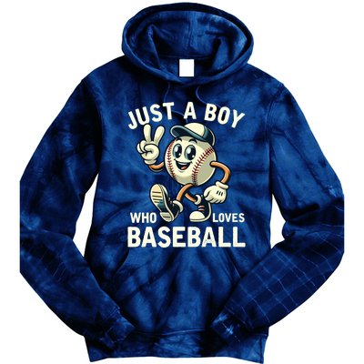 Just A Boy Who Loves Baseball Boy Tie Dye Hoodie