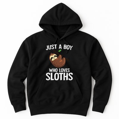 Just A Boy Who Loves Sloths Sloth Lover Hoodie