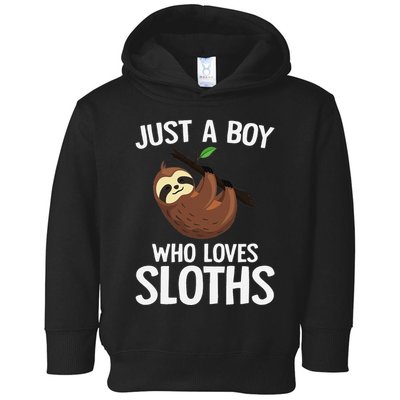 Just A Boy Who Loves Sloths Sloth Lover Toddler Hoodie