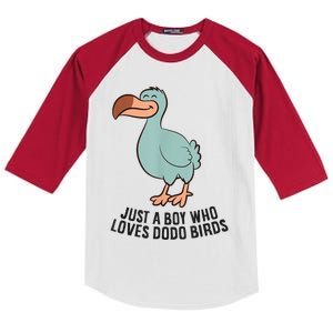 Just A Boy Who Loves Dodo Birds Kids Colorblock Raglan Jersey