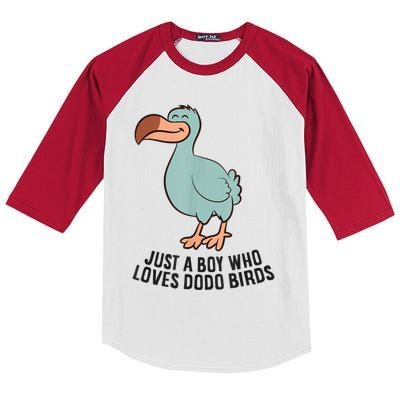 Just A Boy Who Loves Dodo Birds Kids Colorblock Raglan Jersey