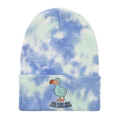 Just A Boy Who Loves Dodo Birds Tie Dye 12in Knit Beanie