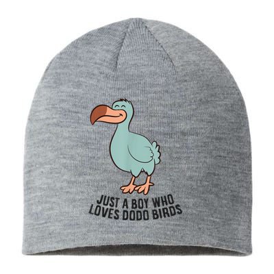 Just A Boy Who Loves Dodo Birds Sustainable Beanie