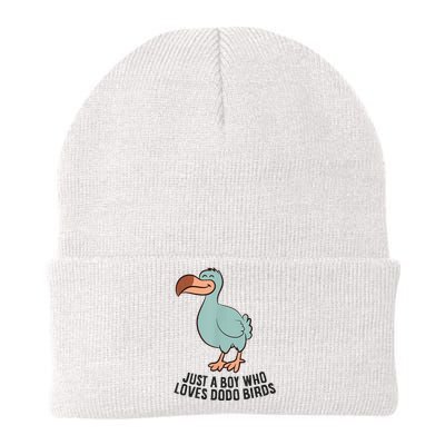 Just A Boy Who Loves Dodo Birds Knit Cap Winter Beanie