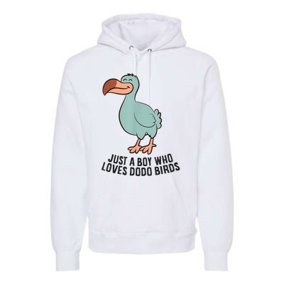 Just A Boy Who Loves Dodo Birds Premium Hoodie