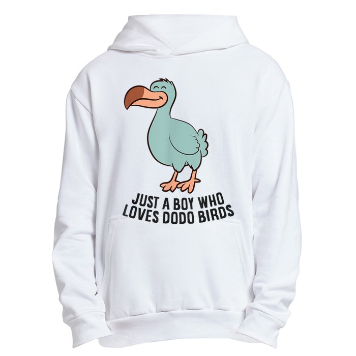 Just A Boy Who Loves Dodo Birds Urban Pullover Hoodie