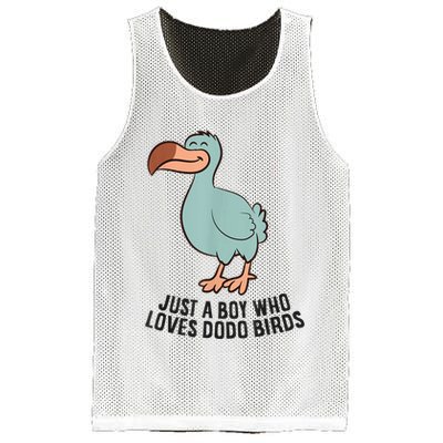 Just A Boy Who Loves Dodo Birds Mesh Reversible Basketball Jersey Tank