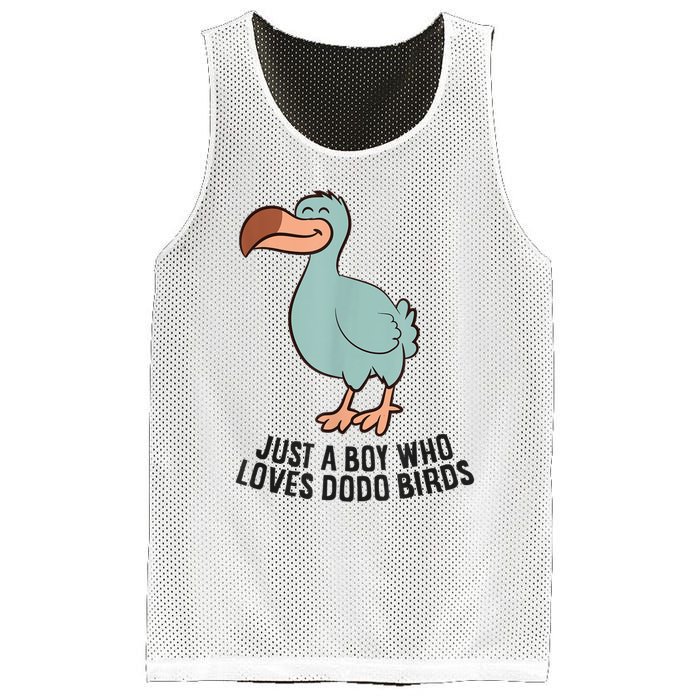 Just A Boy Who Loves Dodo Birds Mesh Reversible Basketball Jersey Tank