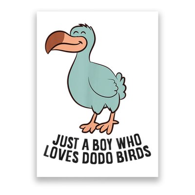 Just A Boy Who Loves Dodo Birds Poster