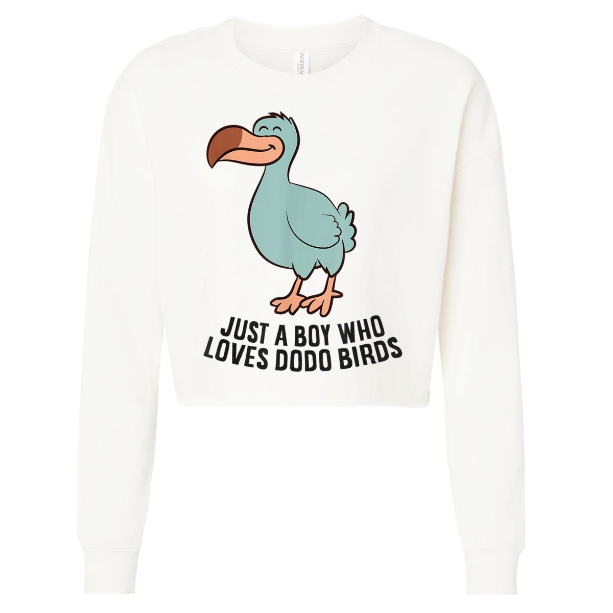Just A Boy Who Loves Dodo Birds Cropped Pullover Crew