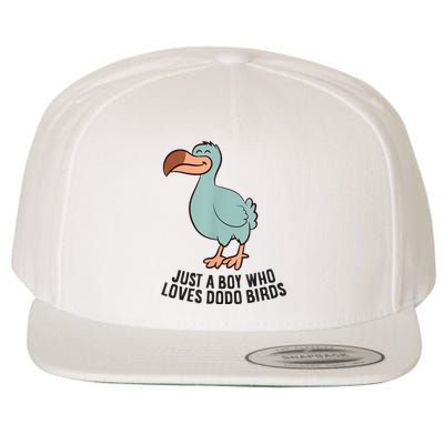 Just A Boy Who Loves Dodo Birds Wool Snapback Cap