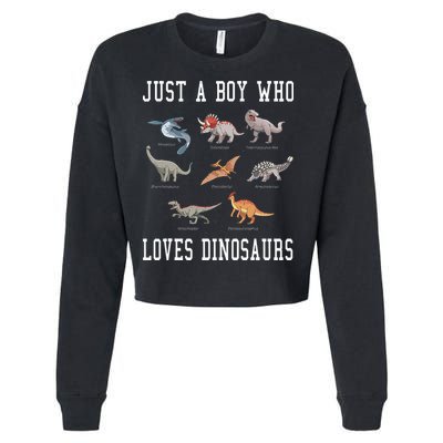 Just A Boy Who Loves Dinosaurs Gifts For Paleontologist Cropped Pullover Crew