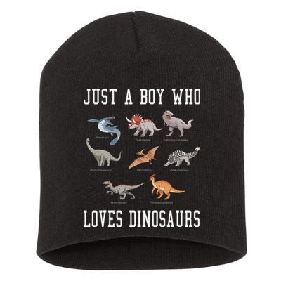 Just A Boy Who Loves Dinosaurs Gifts For Paleontologist Short Acrylic Beanie