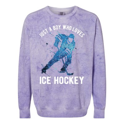 Just A Boy Who Loves Ice Hockey Colorblast Crewneck Sweatshirt