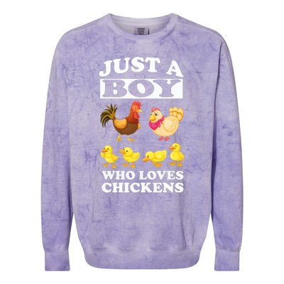 Just A Boy Who Loves Chickens Farm Chicken Gift Colorblast Crewneck Sweatshirt