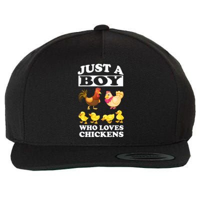 Just A Boy Who Loves Chickens Farm Chicken Gift Wool Snapback Cap