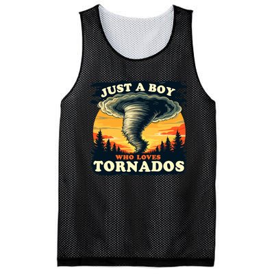 Just A Boy Who Loves Tornados Meteorology Storm Chaser Mesh Reversible Basketball Jersey Tank