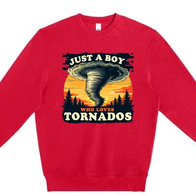 Just A Boy Who Loves Tornados Meteorology Storm Chaser Premium Crewneck Sweatshirt