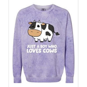 Just A Boy Who Loves Cows Gift Colorblast Crewneck Sweatshirt