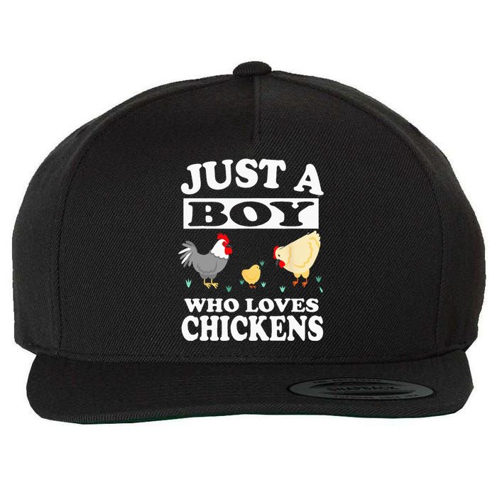 Just A Boy Who Loves Chickens Farm Chicken Gift Wool Snapback Cap