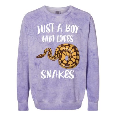 Just A Boy Who Loves Snakes Animal Colorblast Crewneck Sweatshirt