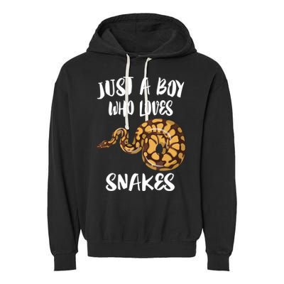 Just A Boy Who Loves Snakes Animal Garment-Dyed Fleece Hoodie