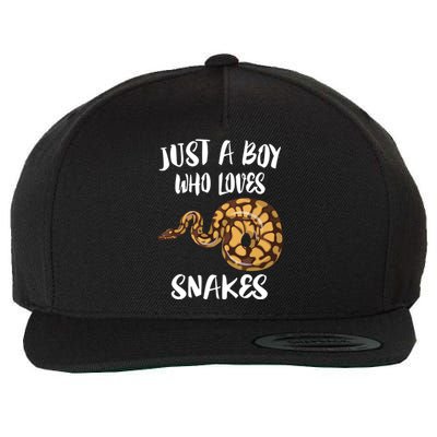 Just A Boy Who Loves Snakes Animal Wool Snapback Cap