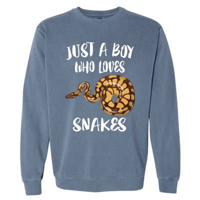 Just A Boy Who Loves Snakes Animal Garment-Dyed Sweatshirt