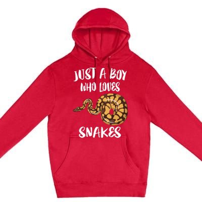 Just A Boy Who Loves Snakes Animal Premium Pullover Hoodie