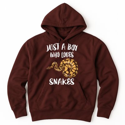 Just A Boy Who Loves Snakes Animal Hoodie