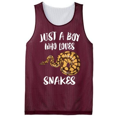 Just A Boy Who Loves Snakes Animal Mesh Reversible Basketball Jersey Tank