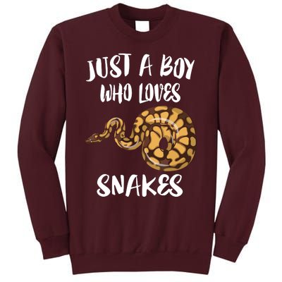 Just A Boy Who Loves Snakes Animal Tall Sweatshirt