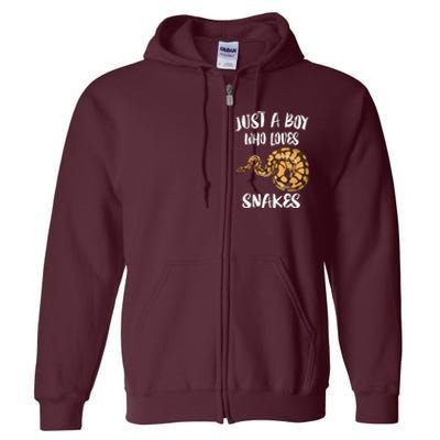 Just A Boy Who Loves Snakes Animal Full Zip Hoodie