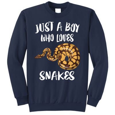 Just A Boy Who Loves Snakes Animal Sweatshirt