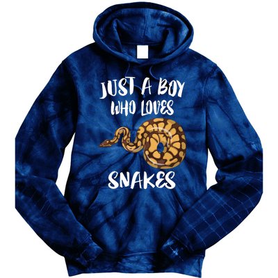 Just A Boy Who Loves Snakes Animal Tie Dye Hoodie