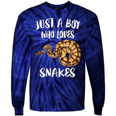 Just A Boy Who Loves Snakes Animal Tie-Dye Long Sleeve Shirt