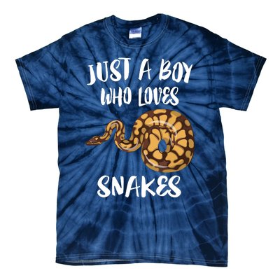 Just A Boy Who Loves Snakes Animal Tie-Dye T-Shirt