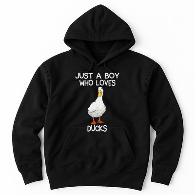 Just A Boy Who Loves Ducks Lover Gifts Duck Owner Hoodie