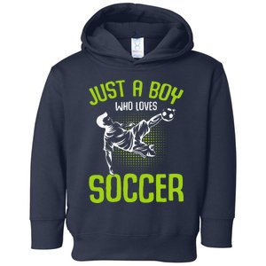 Just A Boy Who Loves Soccer Player Toddler Hoodie