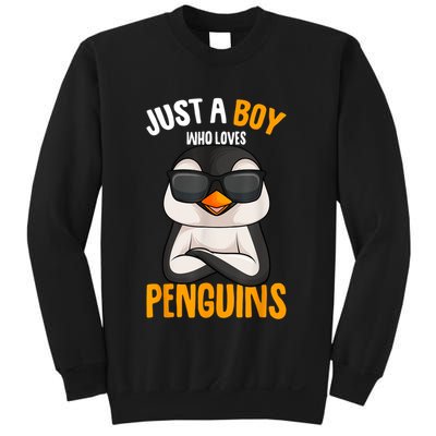 Just A Boy Who Loves Penguins Penguin Sweatshirt