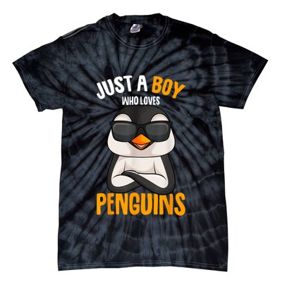 Just A Boy Who Loves Penguins Penguin Tie-Dye T-Shirt