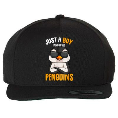 Just A Boy Who Loves Penguins Penguin Wool Snapback Cap