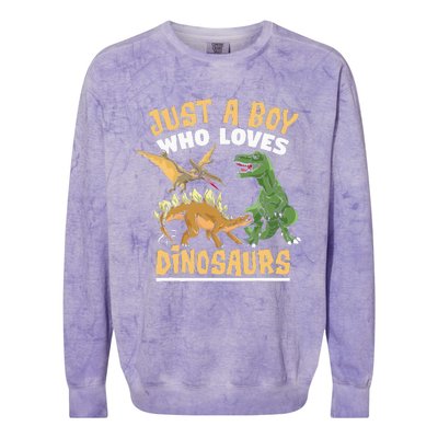 Just A Boy Who Loves Dinosaurs Schoolboys And Paleontologist Colorblast Crewneck Sweatshirt