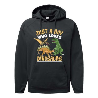 Just A Boy Who Loves Dinosaurs Schoolboys And Paleontologist Performance Fleece Hoodie