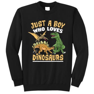 Just A Boy Who Loves Dinosaurs Schoolboys And Paleontologist Tall Sweatshirt