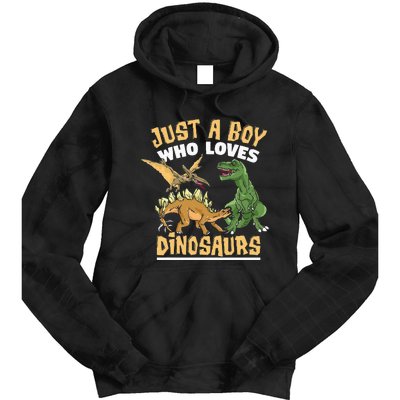 Just A Boy Who Loves Dinosaurs Schoolboys And Paleontologist Tie Dye Hoodie