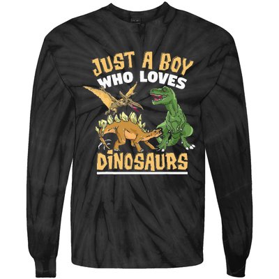 Just A Boy Who Loves Dinosaurs Schoolboys And Paleontologist Tie-Dye Long Sleeve Shirt