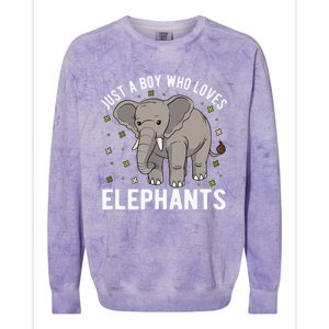 Just A Boy Who Loves Elephants Colorblast Crewneck Sweatshirt