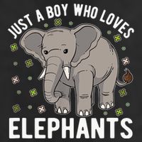 Just A Boy Who Loves Elephants Adult Drive Performance Visor
