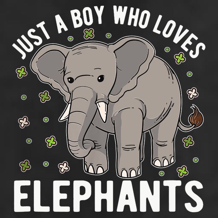 Just A Boy Who Loves Elephants Adult Drive Performance Visor